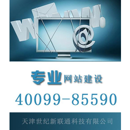 php網站開發,霸州市網站開發,世紀新聯通